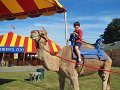 IMG_1811