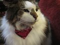 IMG_2264