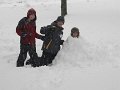 IMG_2310
