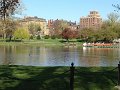 IMG_0178