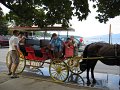 IMG_3052