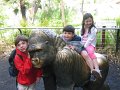 IMG_3426
