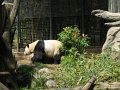 IMG_3436