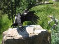 IMG_3441
