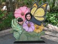IMG_3450