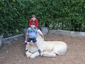 IMG_3466