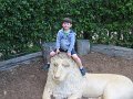 IMG_3474
