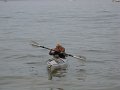 IMG_3518