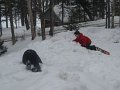 IMG_1611