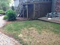 IMG_0875